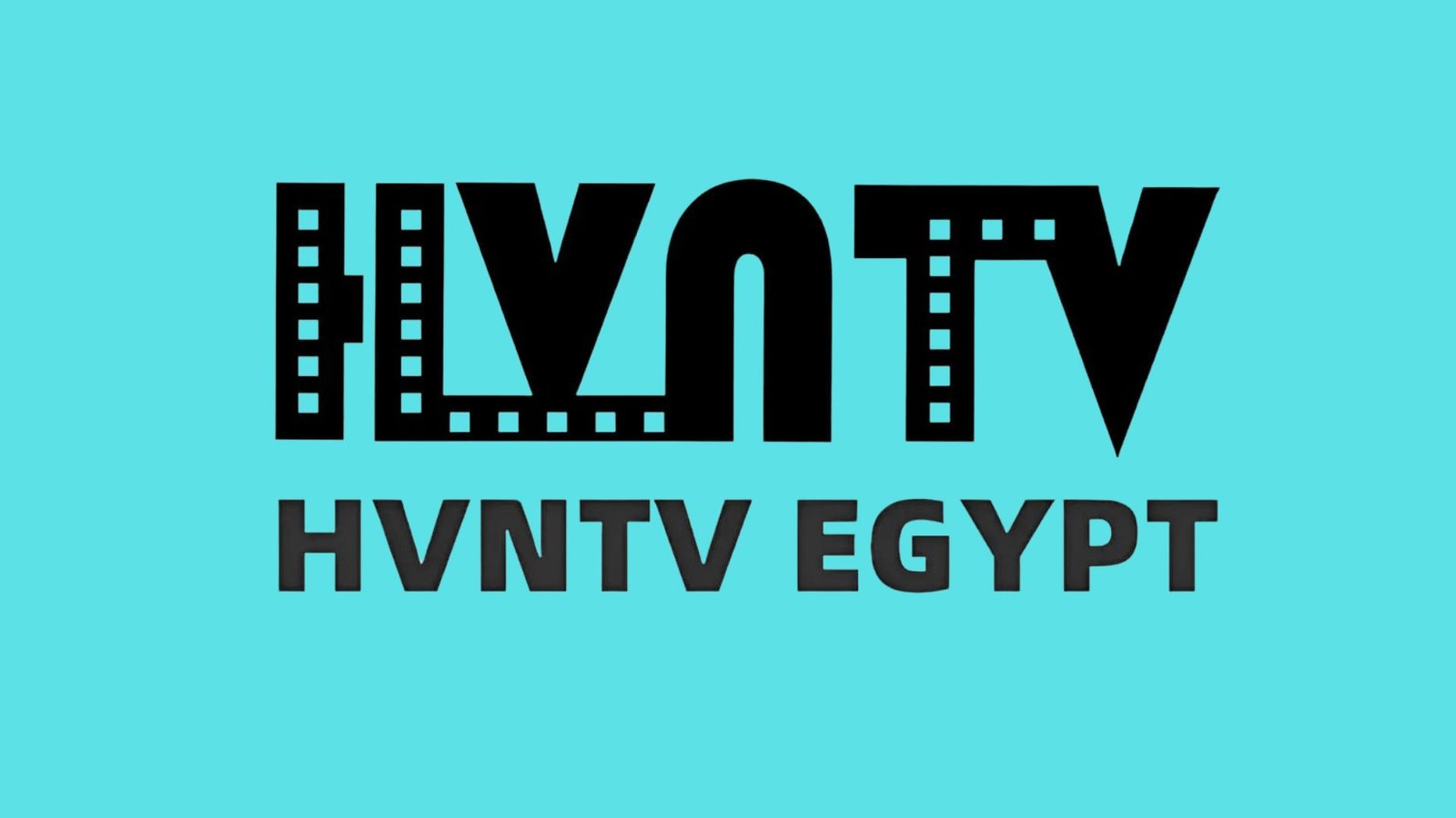 هل شركة hvntv egypt نصابة ؟ هل هذا النوع من الشركات غير مضمون وما علاقتها بالتسويق الشبكي أو الهرمي وهل هناك طرق مضمونة للربح من الإنترنت وأنا في المنزل